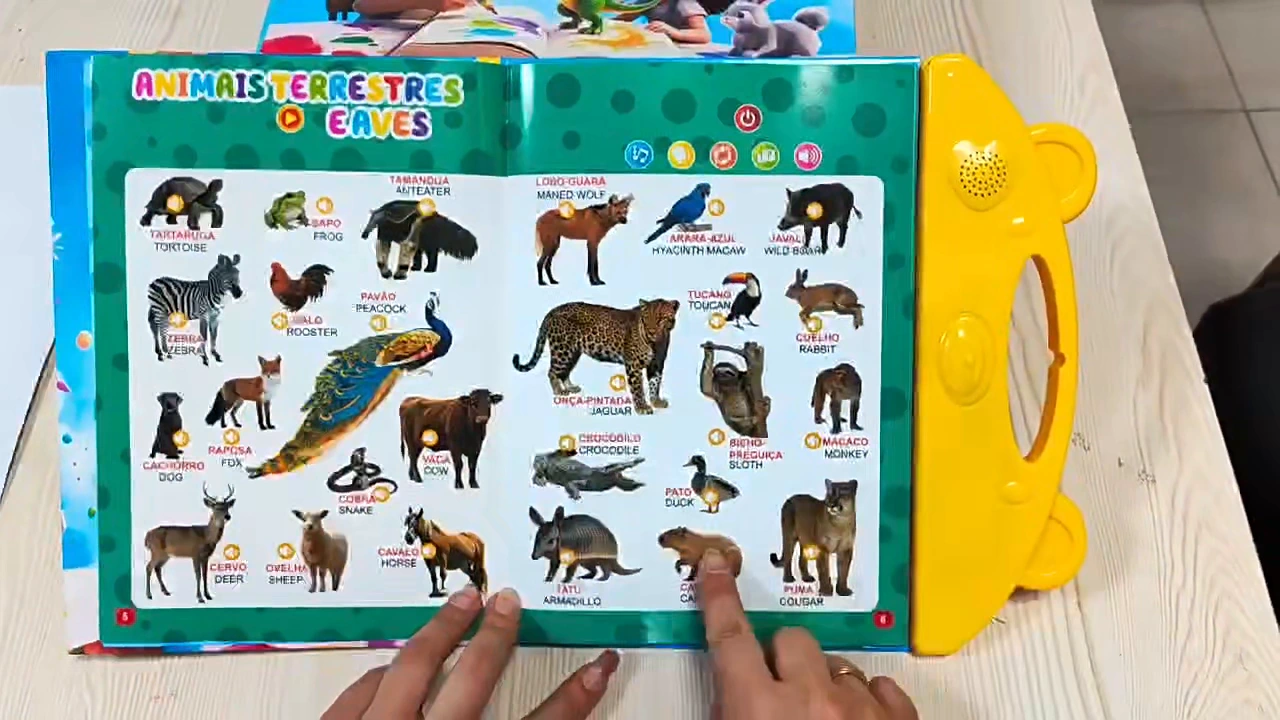 Mão tocando nas figuras da página de animais do Meu E-Livro